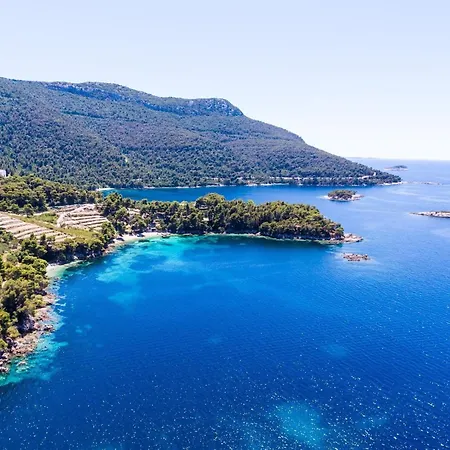 Dalmatin Uljana - Two-bedroom 1 *