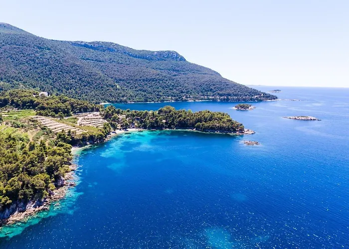 Dalmatin Uljana - Two-bedroom 1 *